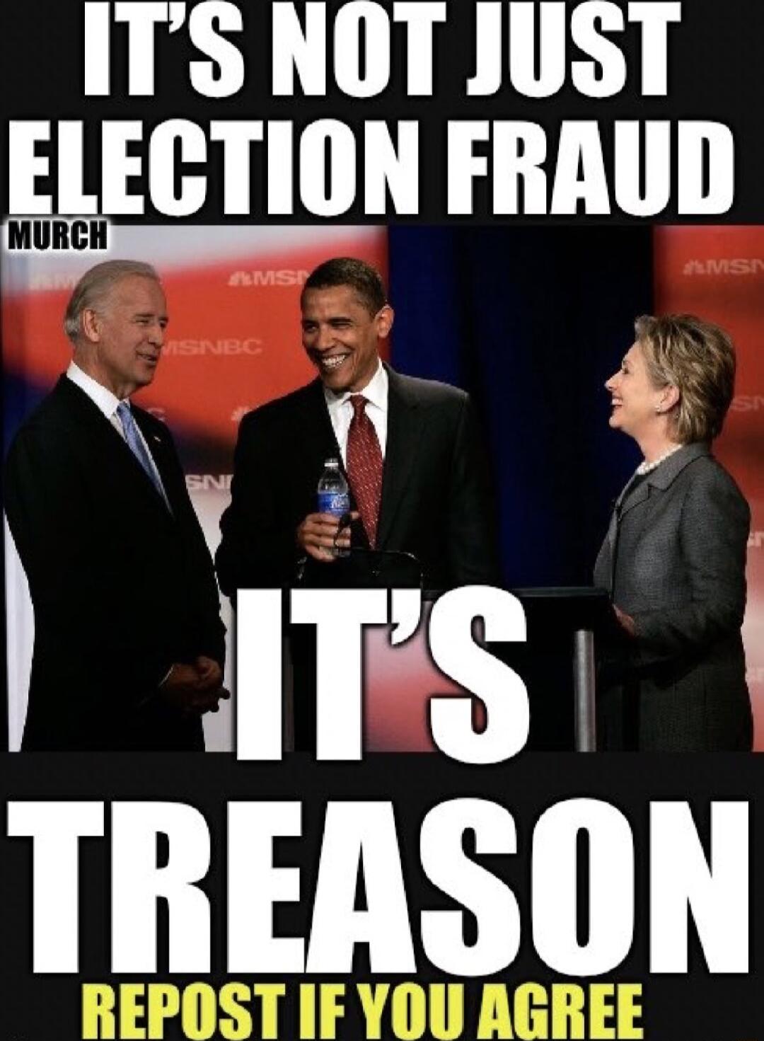 ITS NOT JUST ELECTION FRAUD g N ITS TREASON