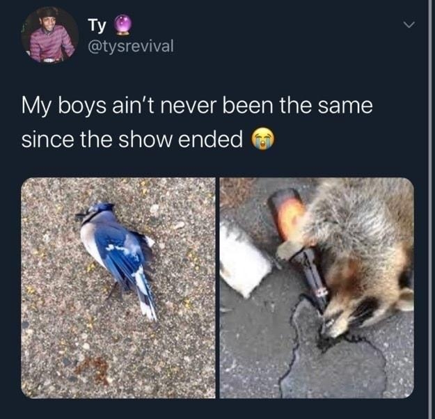 V N 4 tysrevival My boys aint never been the same since the show ended 235 PM 62020 Twitter for iPhone 20 Retweets 90 Likes 9 n V