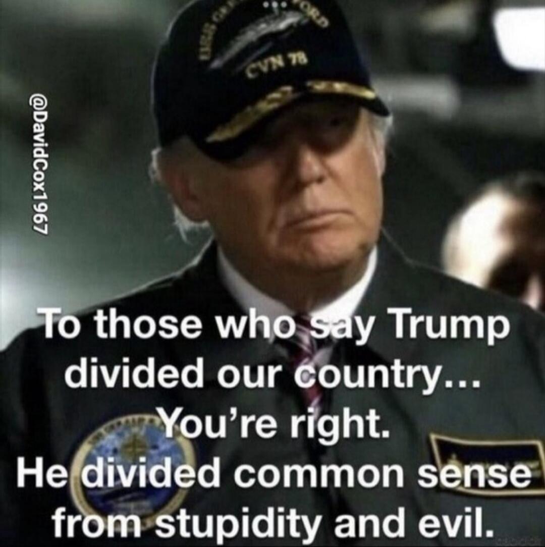 To those who say Trump divided our country... You're right. He divided common sense from stupidity and evil. USS GERALD R. FORD CVN 78 @DavidCox1967