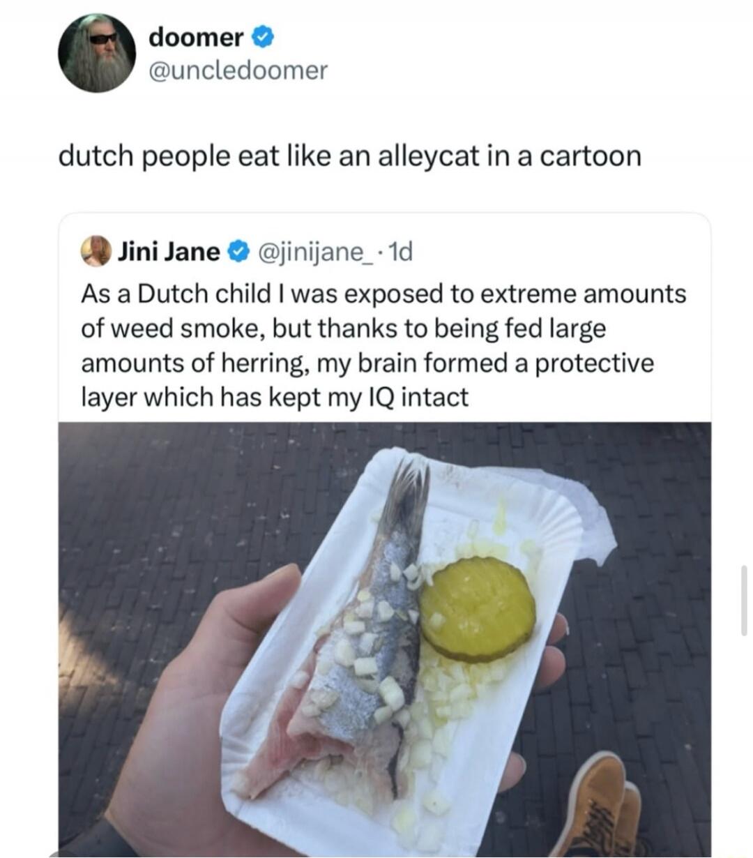 doomer @uncledoome dutch people eat like an alleycat in a cartoon Jini Jane @jinijane_ 1d As a Dutch child I was exposed to extreme amounts of weed smoke, but thanks to being fed large amounts of herring, my brain formed a protective layer which has kept my IQ intact
