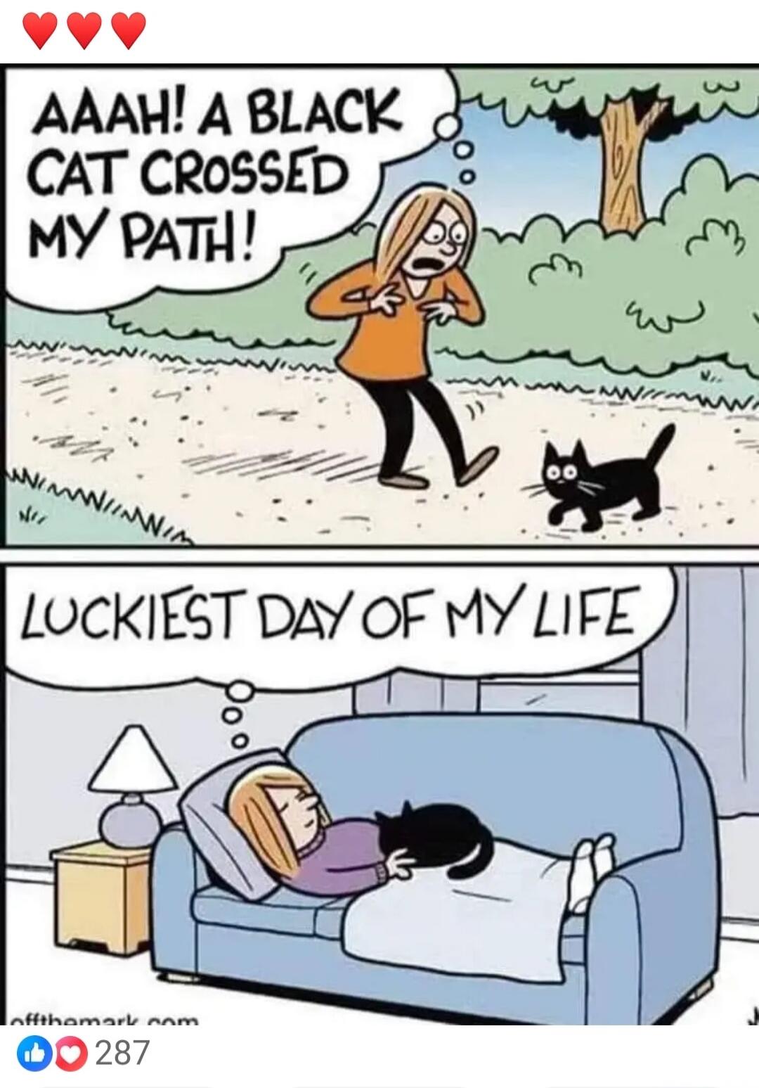 AAAH! A BLACK CAT CROSSED MY PATH! LUCKIEST DAY OF MY LIFE