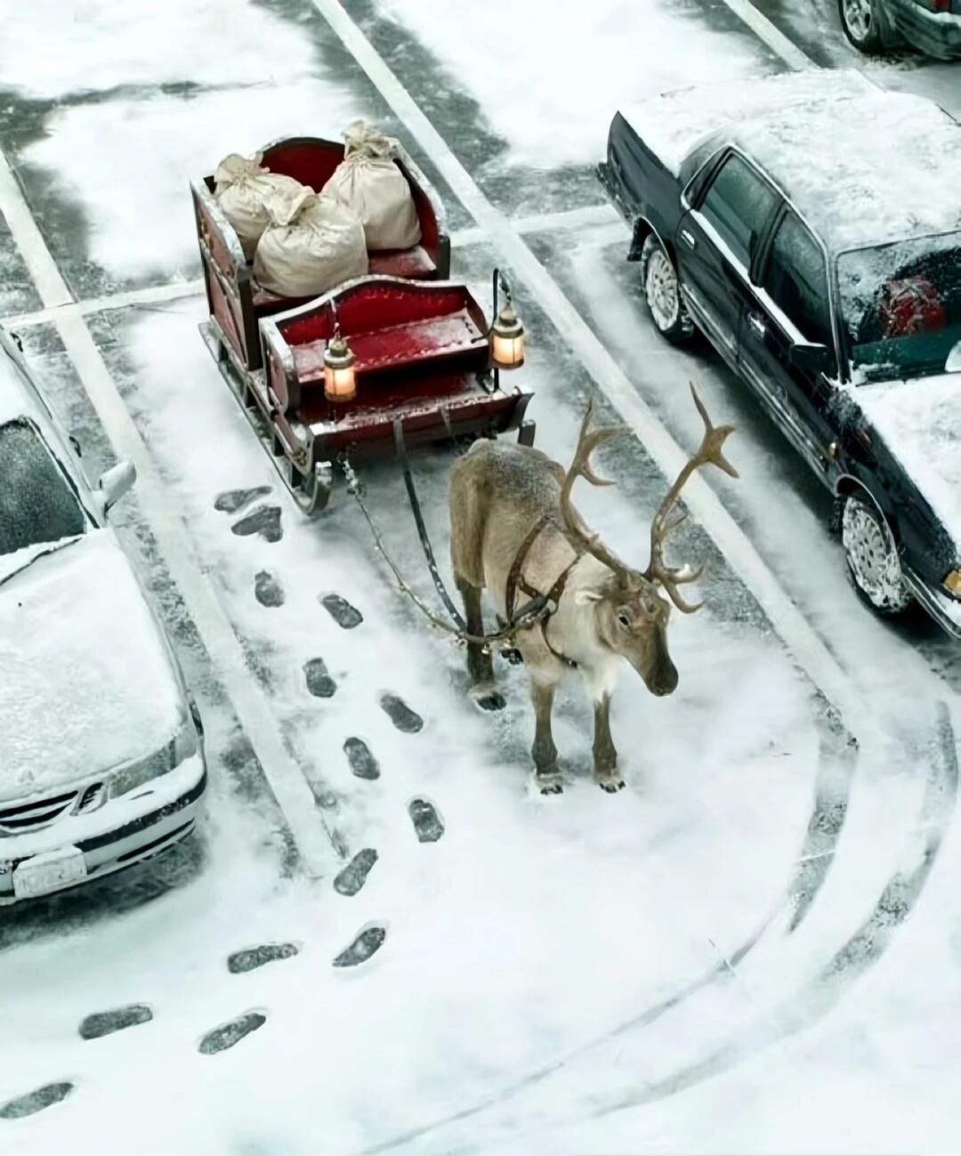 A deer pulling a red sleigh loaded with bags in a snowy parking lot. Footprints mark a path in the snow beside parked cars.