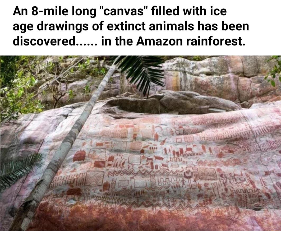 An 8 mile long canvas filled with ice age drawings of extinct animals has been discovered in the Amazon rainforest