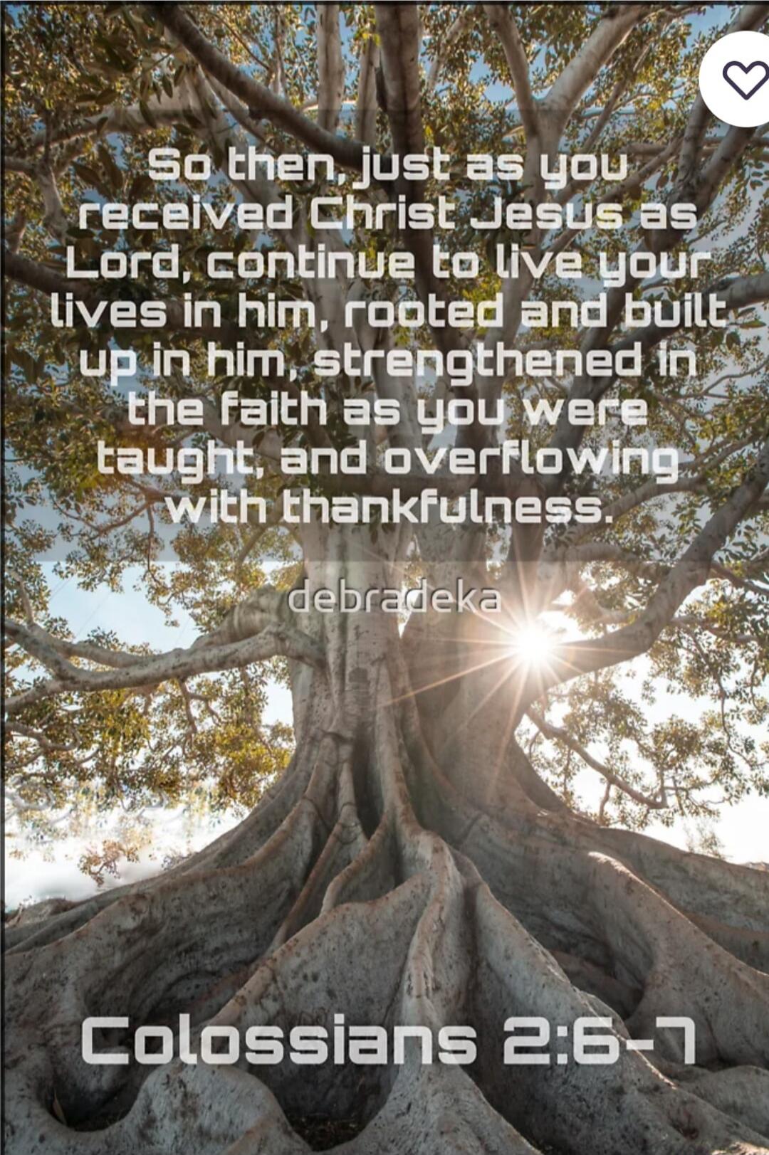 So then, just as you received Christ Jesus as Lord, continue to live your lives in him, rooted and built up in him, strengthened in the faith as you were taught, and overflowing with thankfulness.

debredeka

Colossians 2:6-7