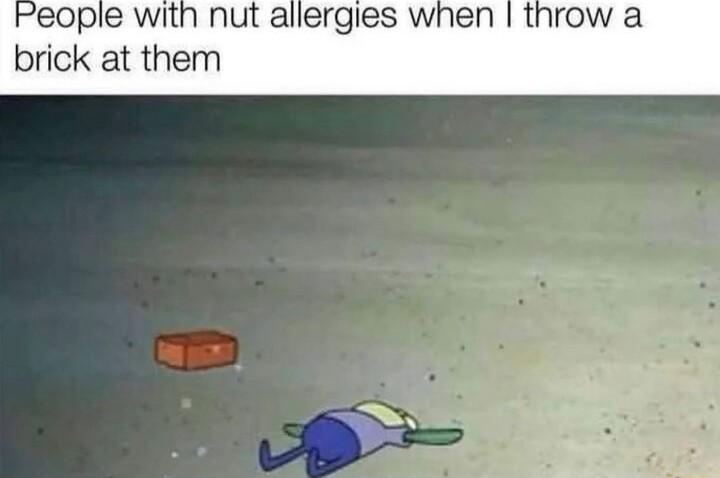eople with nut allergies when throw a brick at them