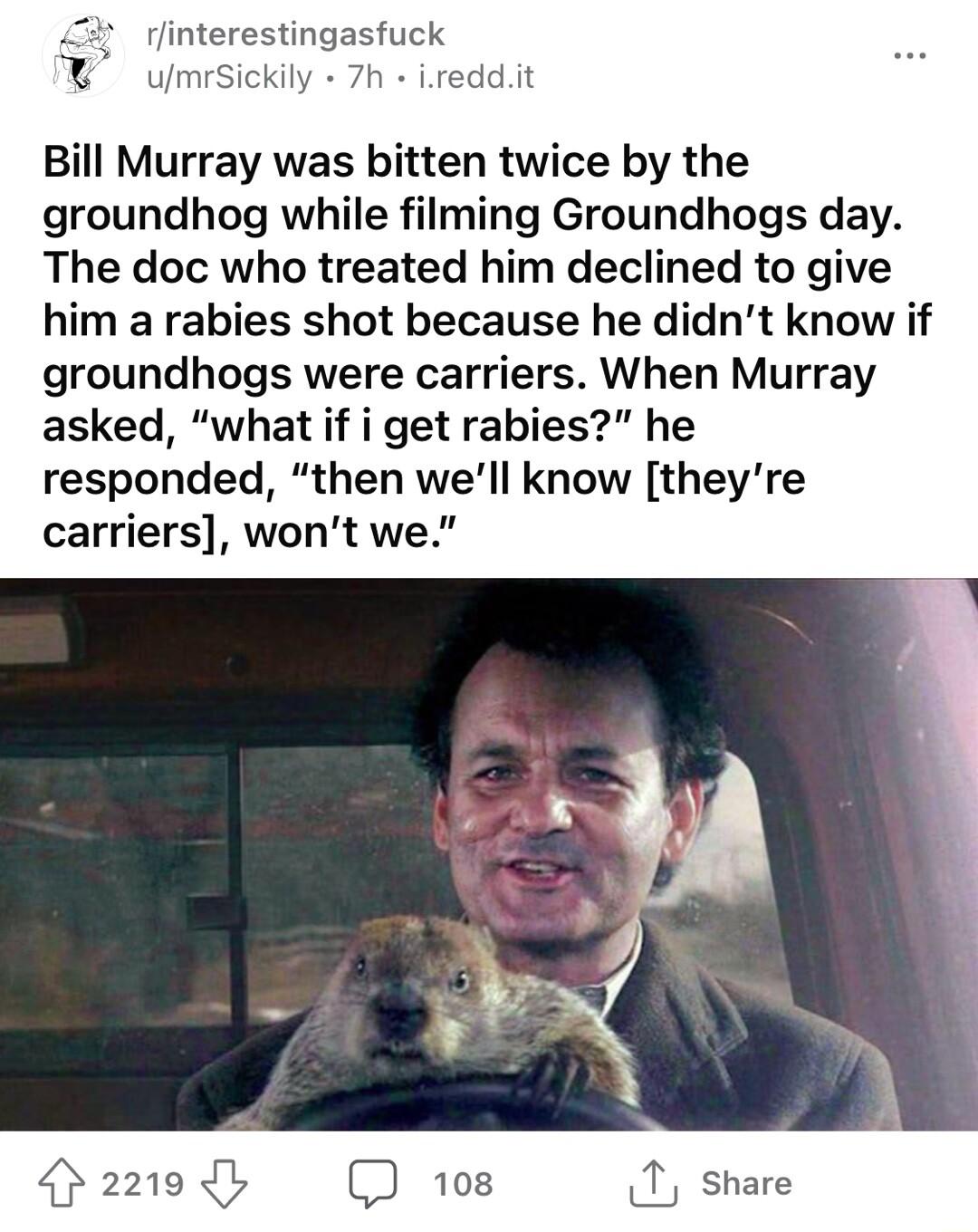 linterestingasfuck W umrSickily 7h ireddit Bill Murray was bitten twice by the groundhog while filming Groundhogs day The doc who treated him declined to give him a rabies shot because he didnt know if groundhogs were carriers When Murray asked what if i get rabies he responded then well know theyre carriers wont we