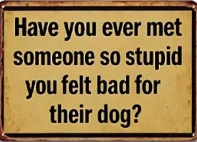 Have you ever met someone so stupid you felt bad for their dog?