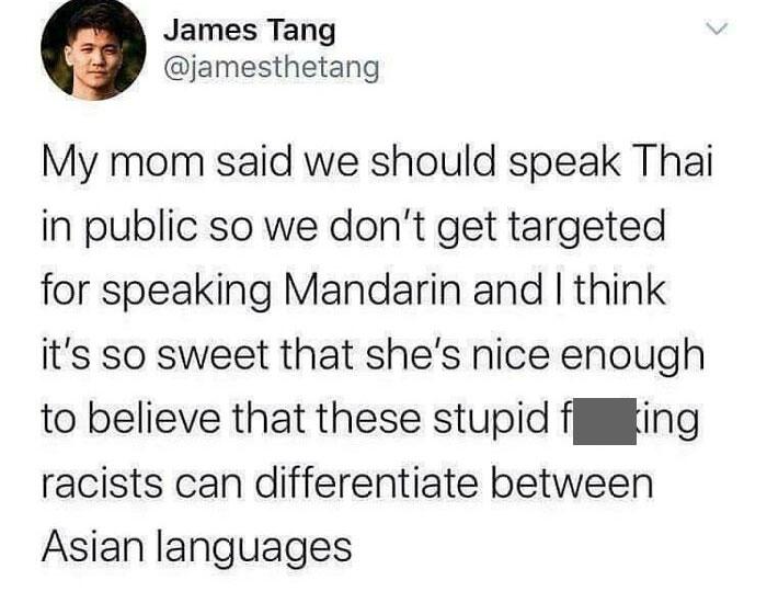 James Tang jamesthetang My mom said we should speak Thai in public so we dont get targeted for speaking Mandarin and think its so sweet that shes nice enough to believe that these stupid fjjilling racists can differentiate between Asian languages