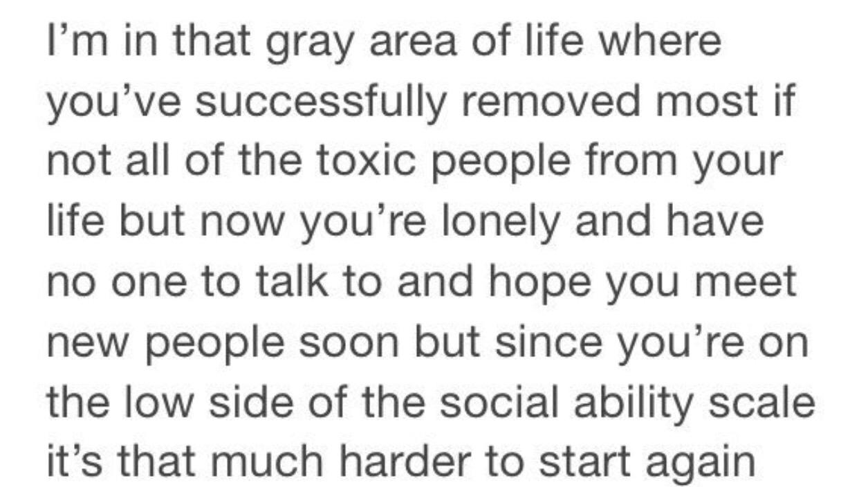 Im in that gray area of life where youve successfully removed most if not all of the toxic people from your life but now youre lonely and have no one to talk to and hope you meet new people soon but since youre on the low side of the social ability scale its that much harder to start again
