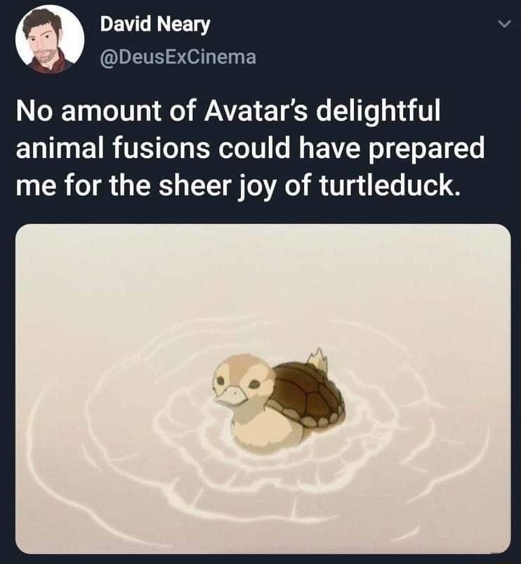 DEVIGREELY eusExCinema No amount of Avatars delightful animal fusions could have prepared me for the sheer joy of turtleduck