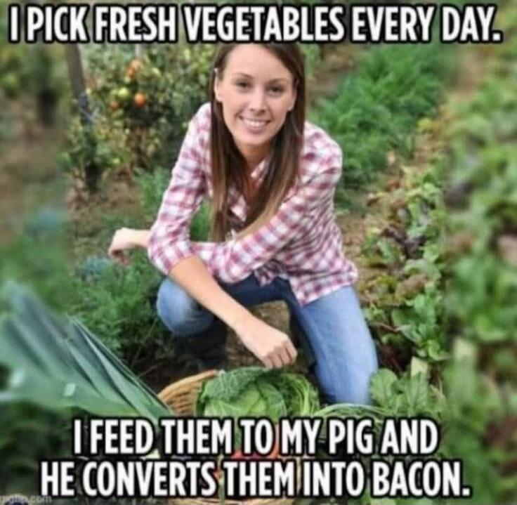 I PICK FRESH VEGETABLES EVERY DAY. I FEED THEM TO MY PIG AND HE CONVERTS THEM INTO BACON.