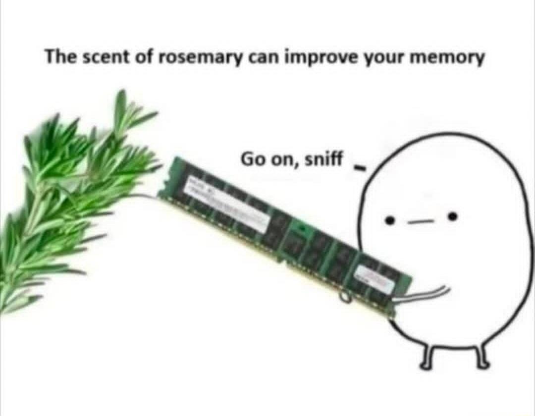 The scent of rosemary can improve your memory
Go on, sniff