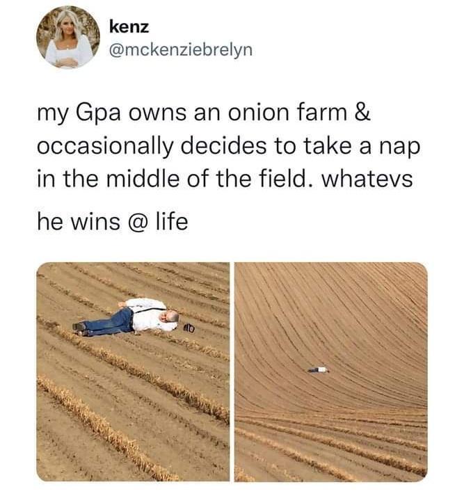 m kenz 2 7 mckenziebrelyn my Gpa owns an onion farm occasionally decides to take a nap in the middle of the field whatevs he wins life