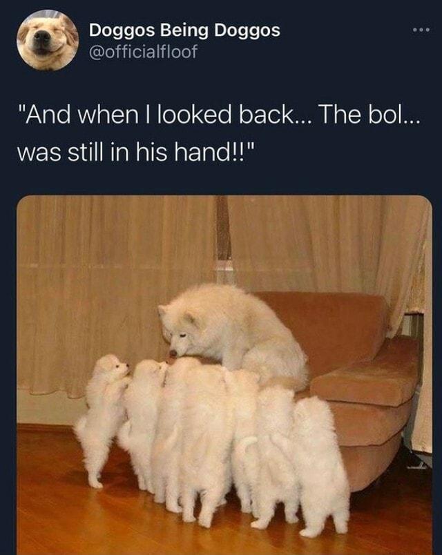 Doggos Being Doggos 4 officialfloof aTe RWYaTeTal WloTolTe NoTTe M N oW oYo I8 was still in his hand