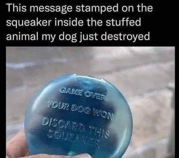 This message stamped on the o VEELCIT e SR RS aTe ETalT0at1as Ve oT B VES S15y o VT