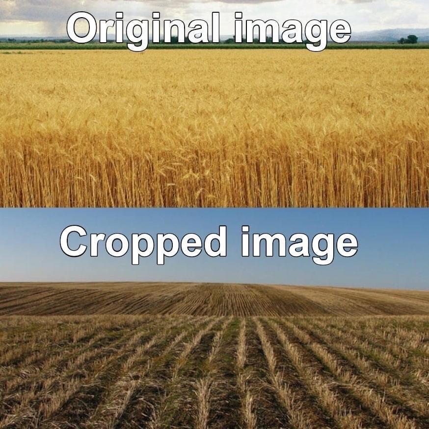 o o o Xe M1y ETe