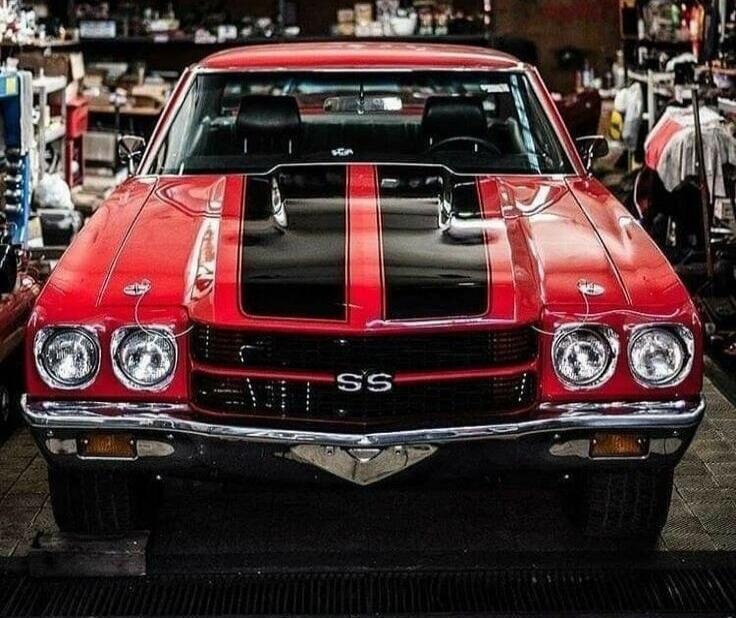 SS