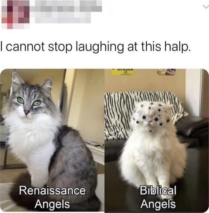 cannot stop laughing at this halp waE i i REQEIREE Angels