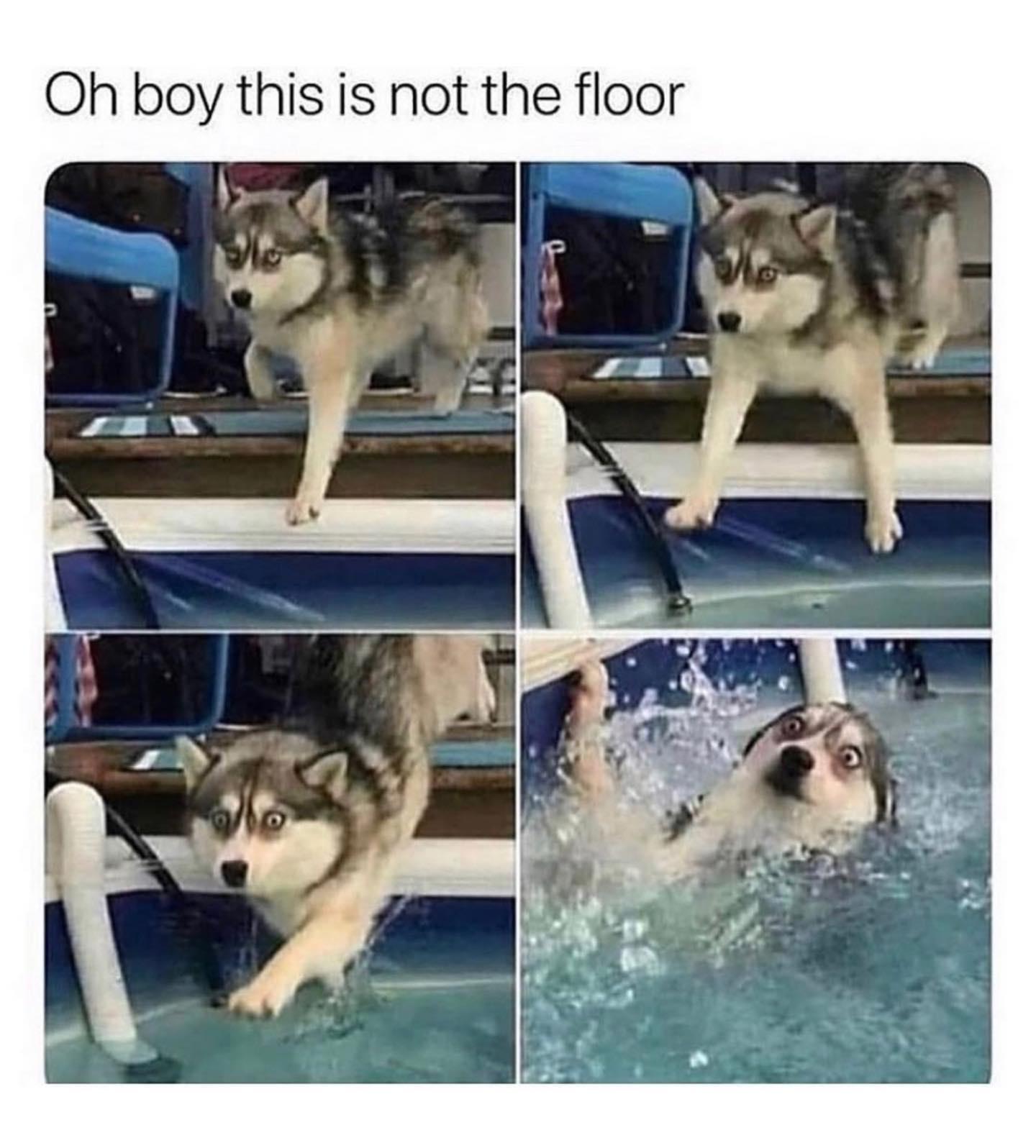 Oh boy this is not the floor