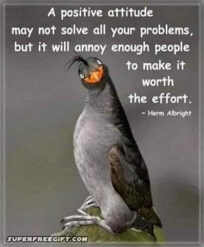 A positive attitude may not solve all your problems, but it will annoy enough people to make it worth the effort. — Herm Albright