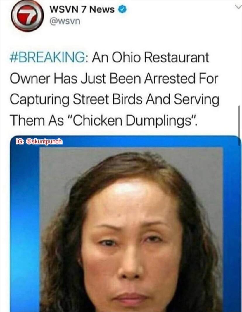 WSVN 7 News wsvn BREAKING An Ohio Restaurant Owner Has Just Been Arrested For Capturing Street Birds And Serving Them As Chicken Dumplings