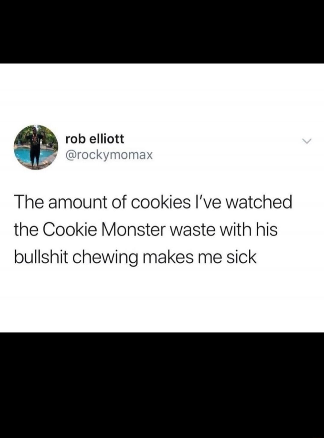 The amount of cookies I've watched the Cookie Monster waste with his bullshit chewing makes me sick