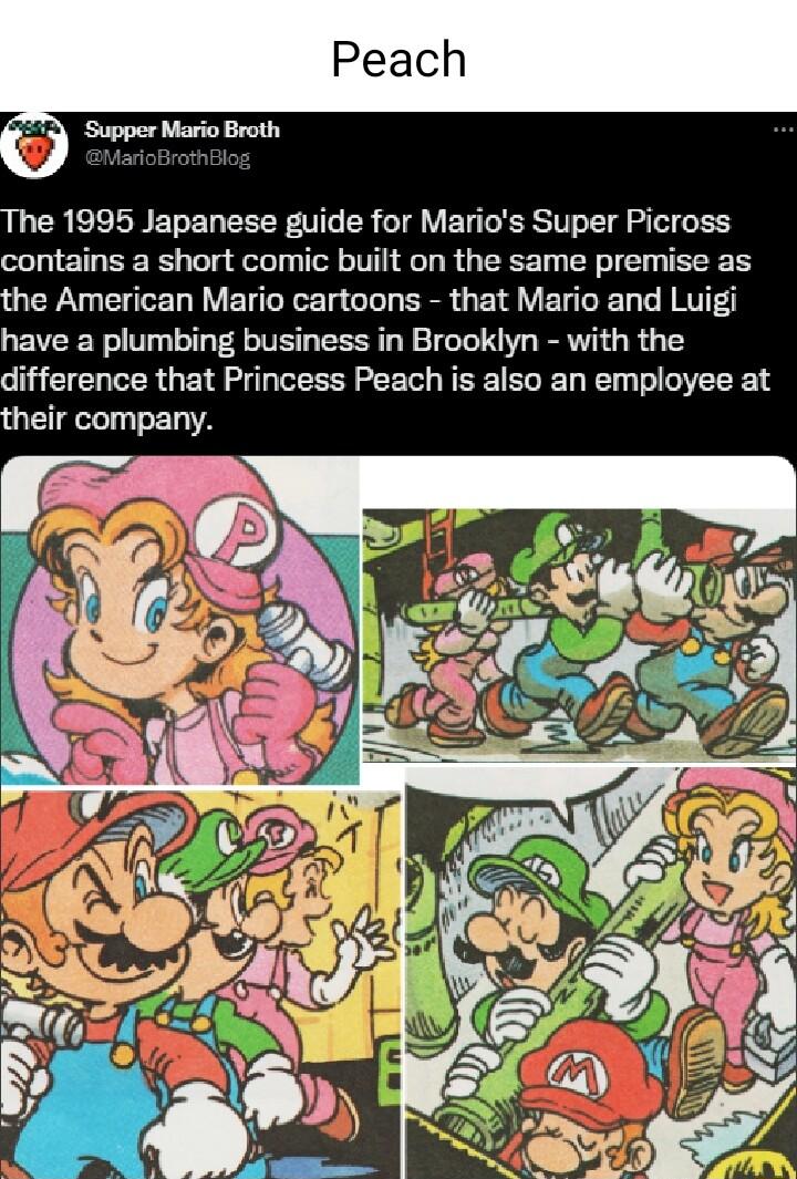 The 1995 Japanese guide for Marios Super Picross contains a short comic built on the same premise as the American Mario cartoons that Mario and Luigi have a plumbing business in Brooklyn with the difference that Princess Peach is also an employee at their company