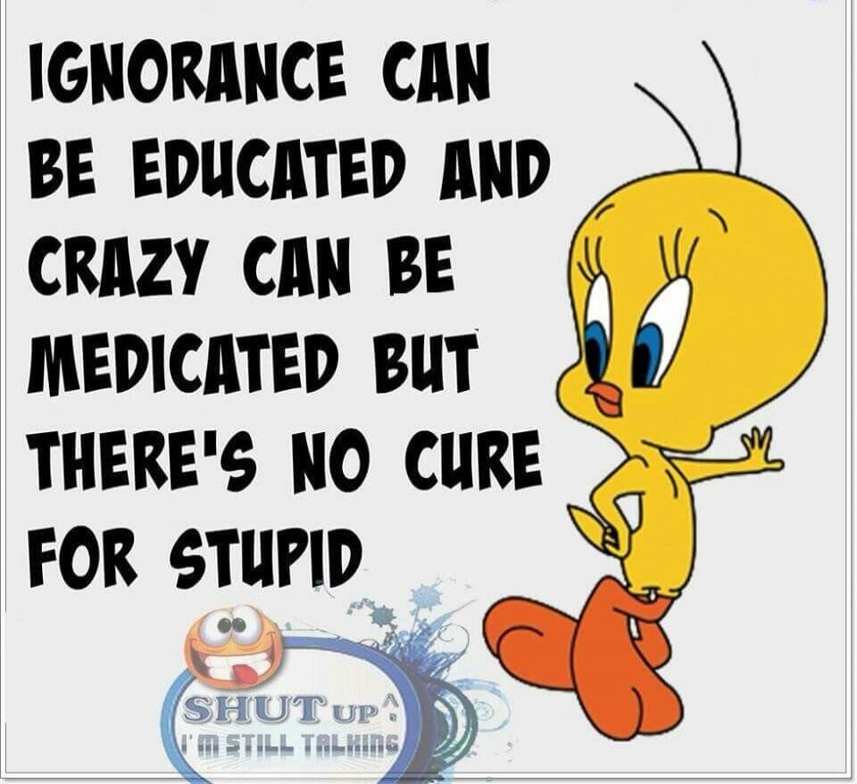 IGNORANCE CAN BE EDUCATED AND CRAZY CAN BE MEDICATED BUT THERE'S NO CURE FOR STUPID SHUT UP! I'M STILL TALKING