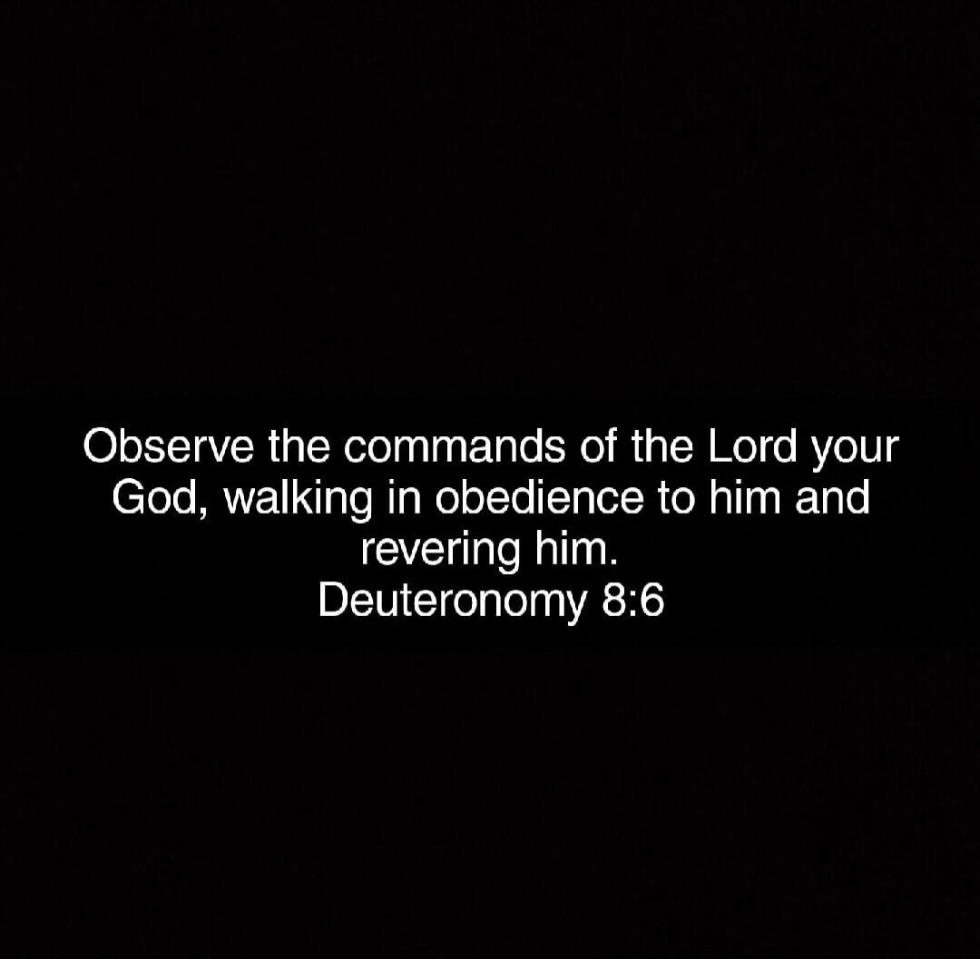 Observe the commands of the Lord your God, walking in obedience to him and revering him. Deuteronomy 8:6