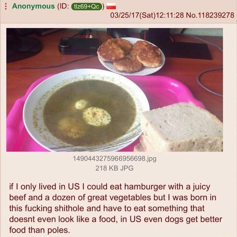 i Anonymous ID EEIIETD wm 032517Sat121128 No118239278 1490443275966956698 jpg 218KB JPG if 1 only lived in US could eat hamburger with a juicy beef and a dozen of great vegetables but was born in this fucking shithole and have to eat something that doesnt even look like a food in US even dogs get better food than poles