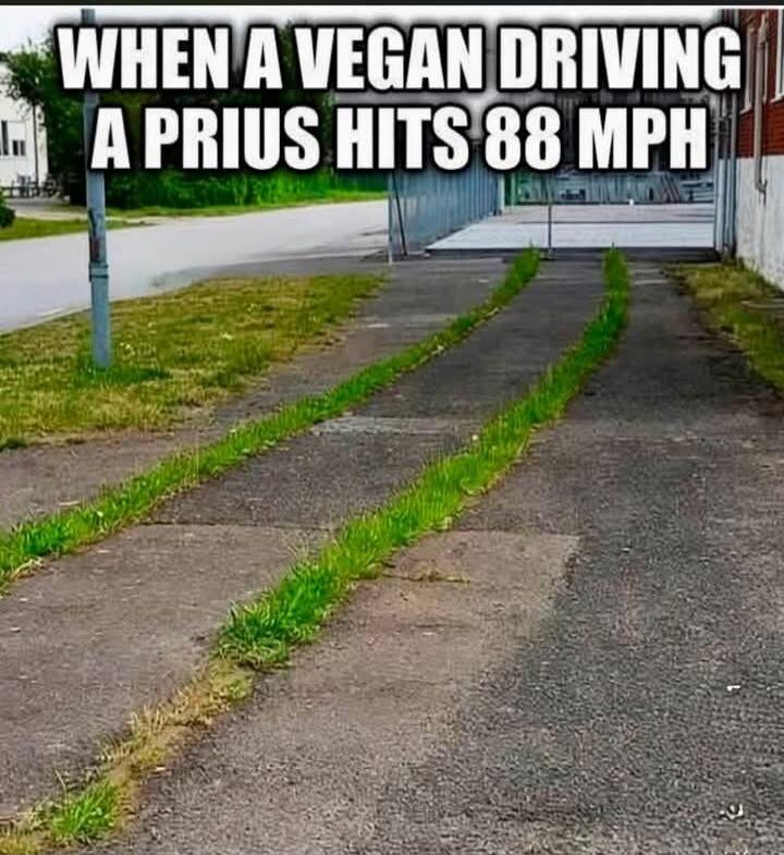 WHEN A VEGAN DRIVING A PRIUS HITS 88 MPH