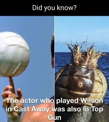 Did you know