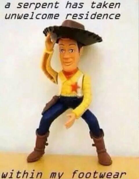 a serpent has taken unwelcome residence within mv footwear