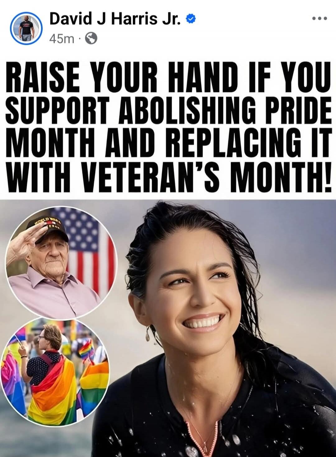 David J Harris Jr. 45m. Raise your hand if you support abolishing Pride Month and replacing it with Veteran's Month!