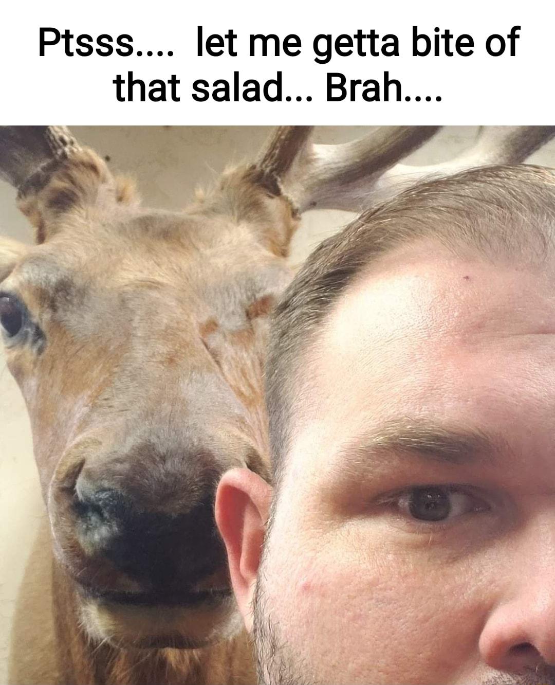 Ptsss let me getta bite of that salad Brah