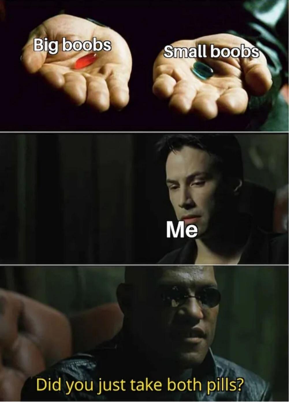 Big boobs Small boobs Me Did you just take both pills?
