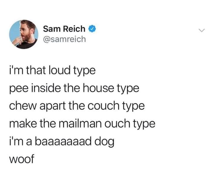 Sam Reich samreich im that loud type pee inside the house type chew apart the couch type make the mailman ouch type im a baaaaaaad dog woof
