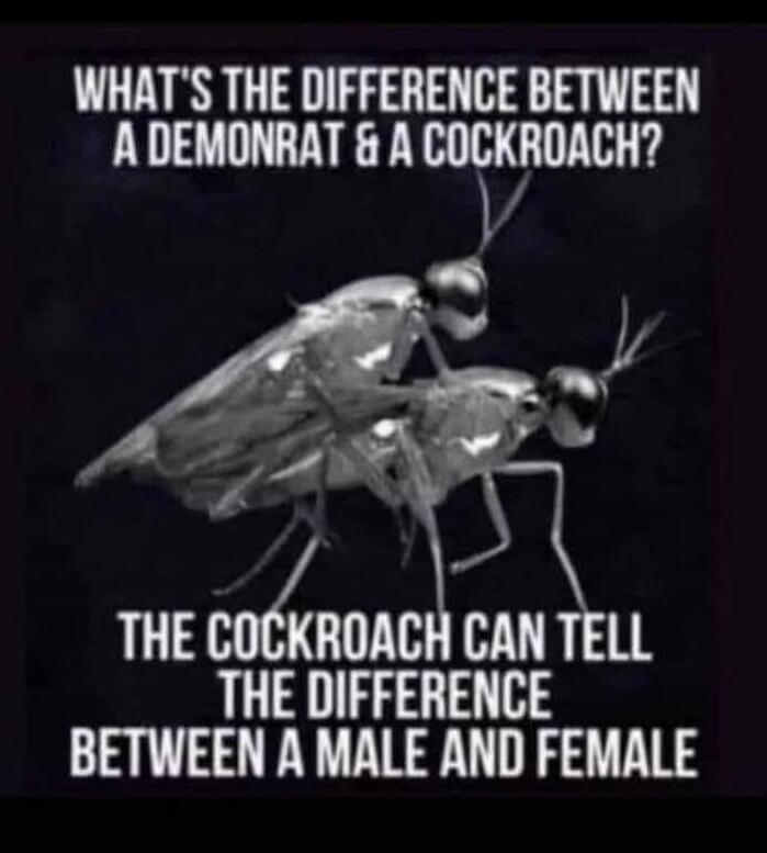WHAT'S THE DIFFERENCE BETWEEN A DEMONRAT & A COCKROACH? THE COCKROACH CAN TELL THE DIFFERENCE BETWEEN A MALE AND FEMALE