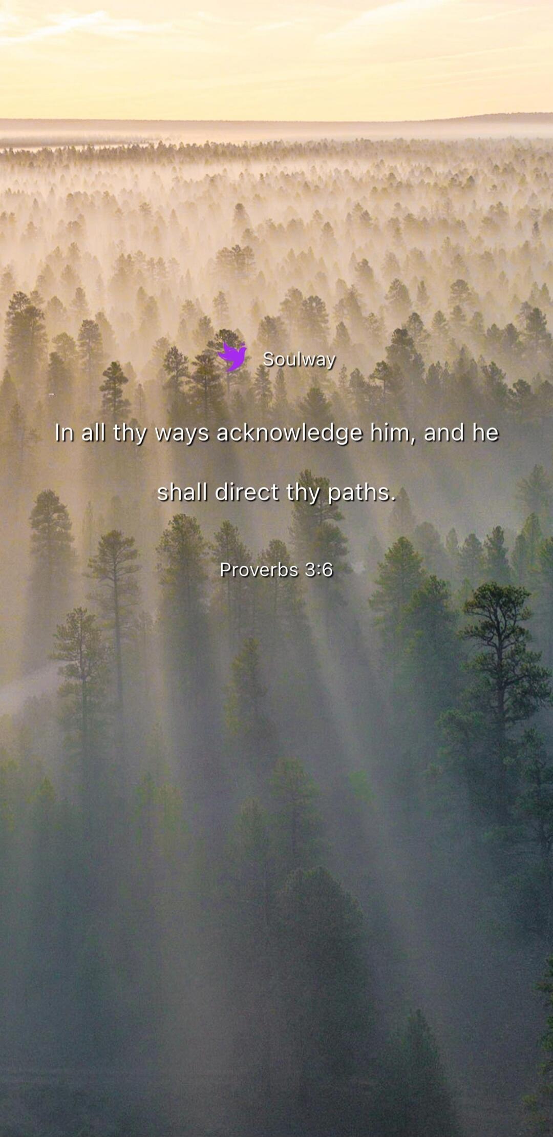 Soulway In all thy ways acknowledge him, and he shall direct thy paths. Proverbs 3:6