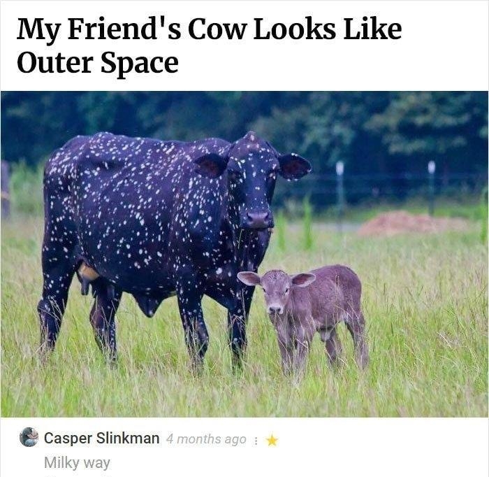 My Friends Cow Looks Like Outer Space e Casper Slinkman ag Milky