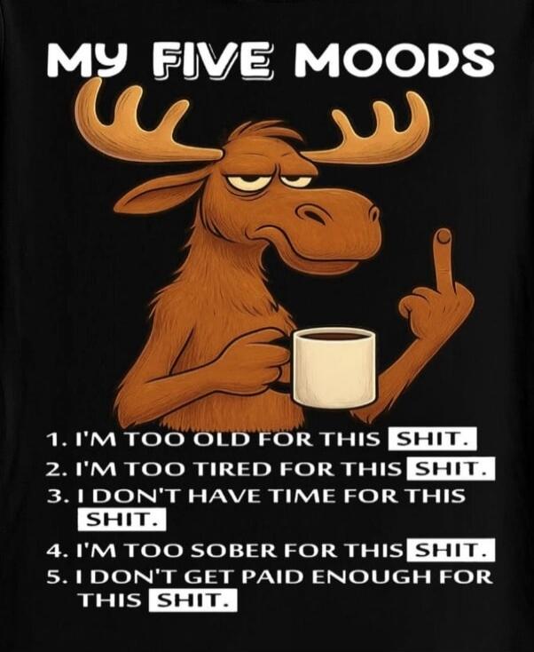 MY FIVE MOODS 1. I'M TOO OLD FOR THIS SHIT. 2. I'M TOO TIRED FOR THIS SHIT. 3. I DON'T HAVE TIME FOR THIS SHIT. 4. I'M TOO SOBER FOR THIS SHIT. 5. I DON'T GET PAID ENOUGH FOR THIS SHIT.