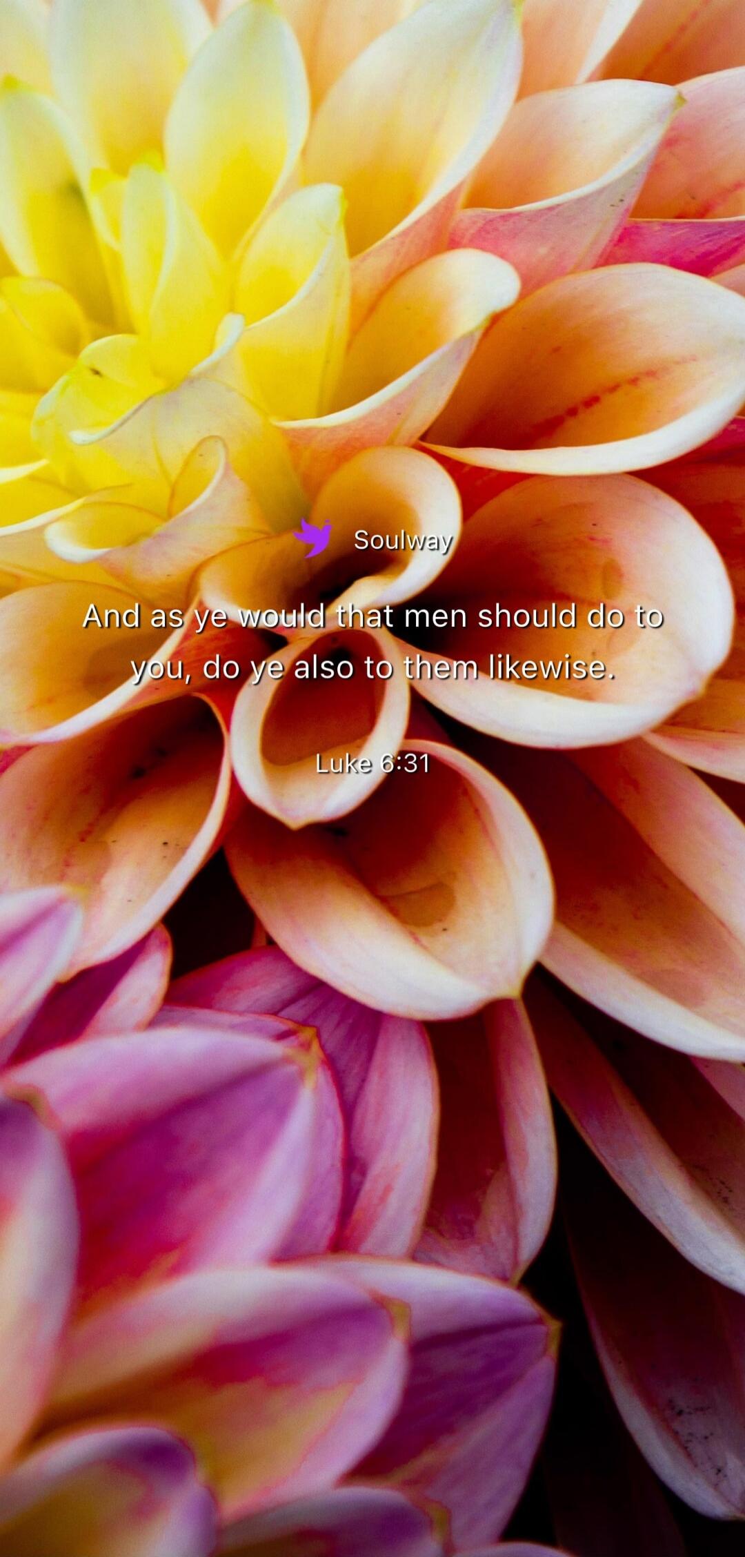 Soulway And as ye would that men should do to you, do ye also to them likewise. Luke 6:31