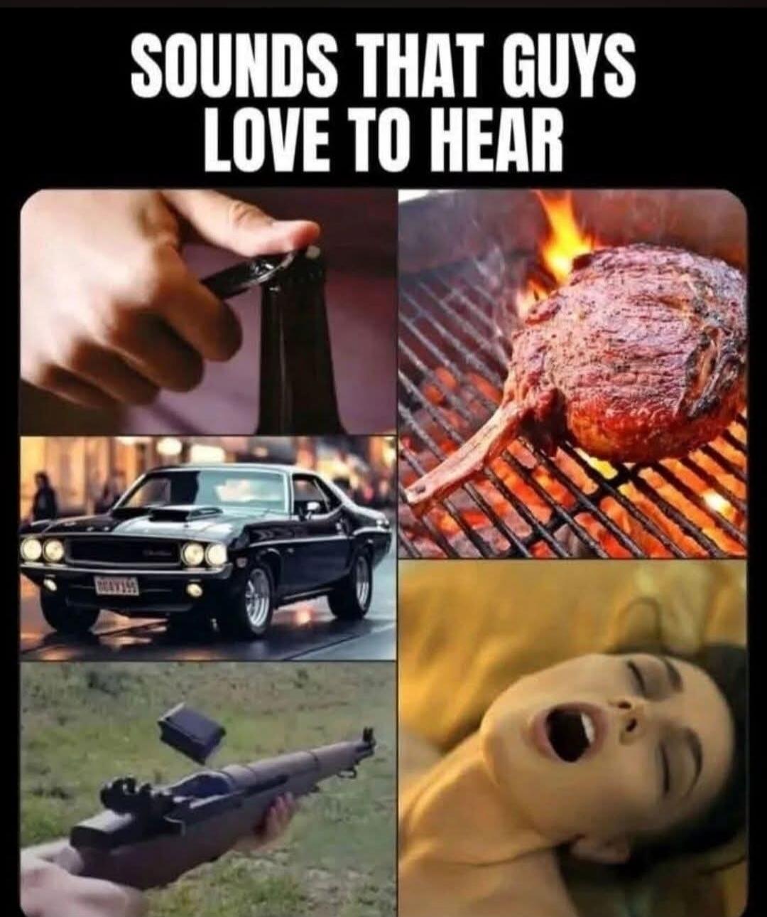 The image displays the text 'SOUNDS THAT GUYS LOVE TO HEAR' and five panels. The panels show a hand opening a beer bottle, a large steak sizzling on a grill, a classic muscle car, an M1 Garand rifle ejecting a clip, and a woman with an ecstatic expression, implying sexual pleasure.