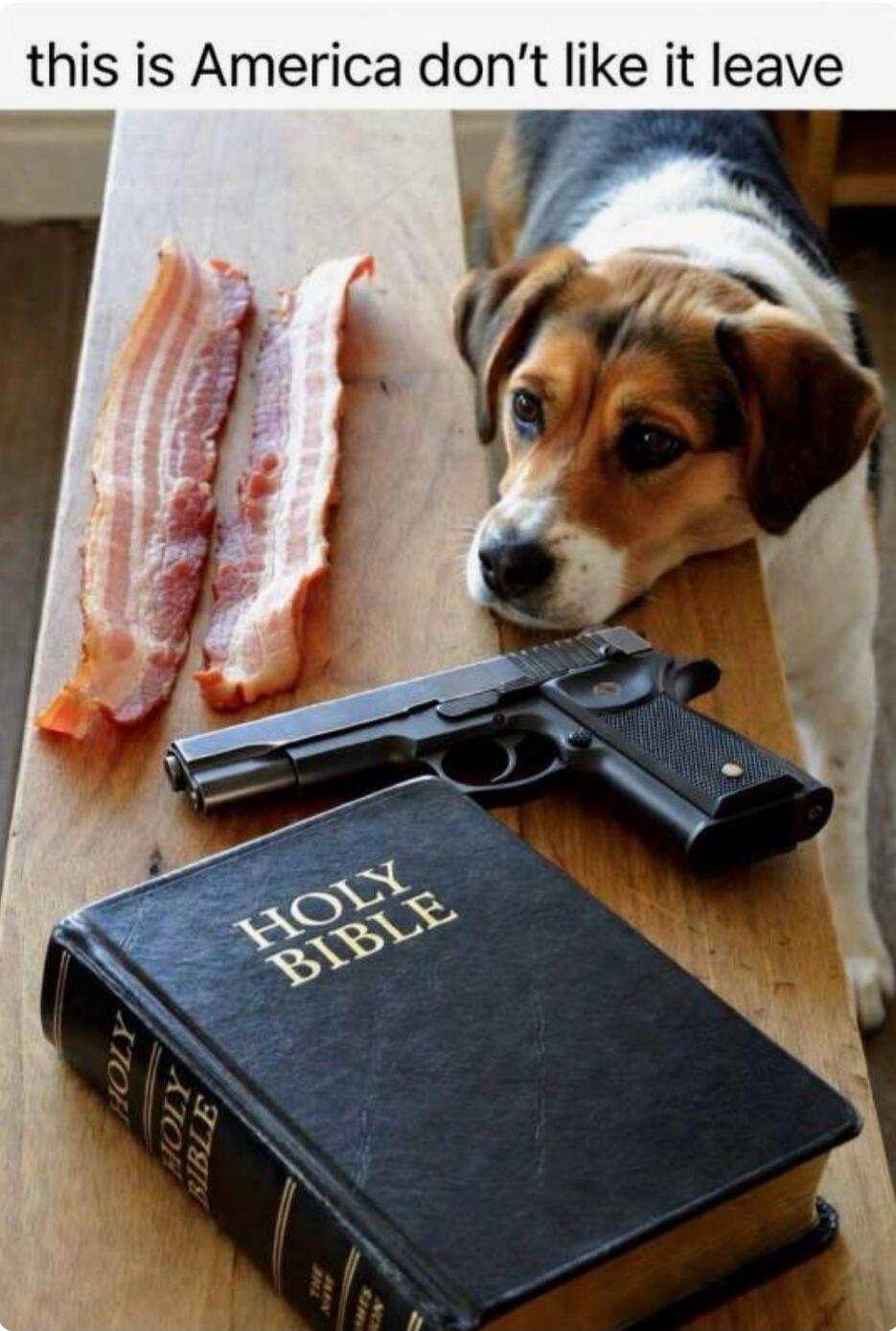 this is America don't like it leave