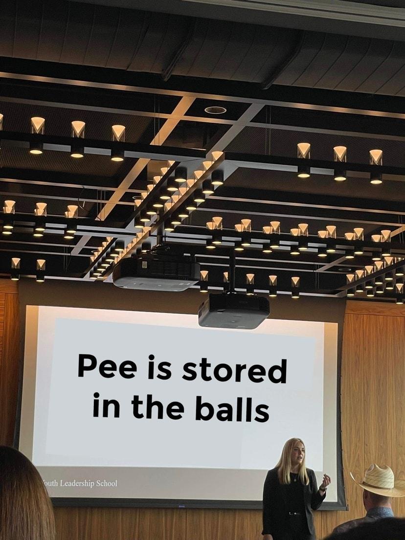 Pee is stored in the balls