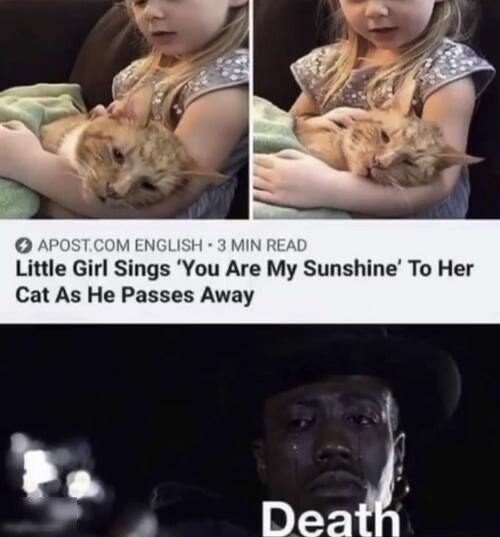 on M EN MIN Little Girl Sings You Are My Sunshine To Her Cat As He Passes Away