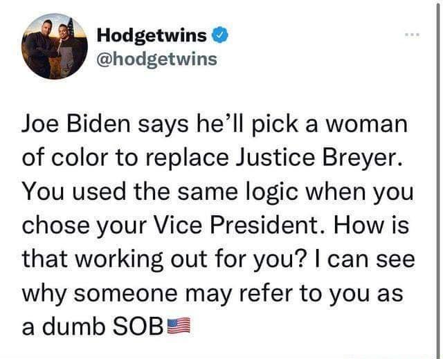 Hodgetwins hodgetwins Joe Biden says hell pick a woman of color to replace Justice Breyer You used the same logic when you chose your Vice President How is that working out for you can see why someone may refer to you as a dumb SOB