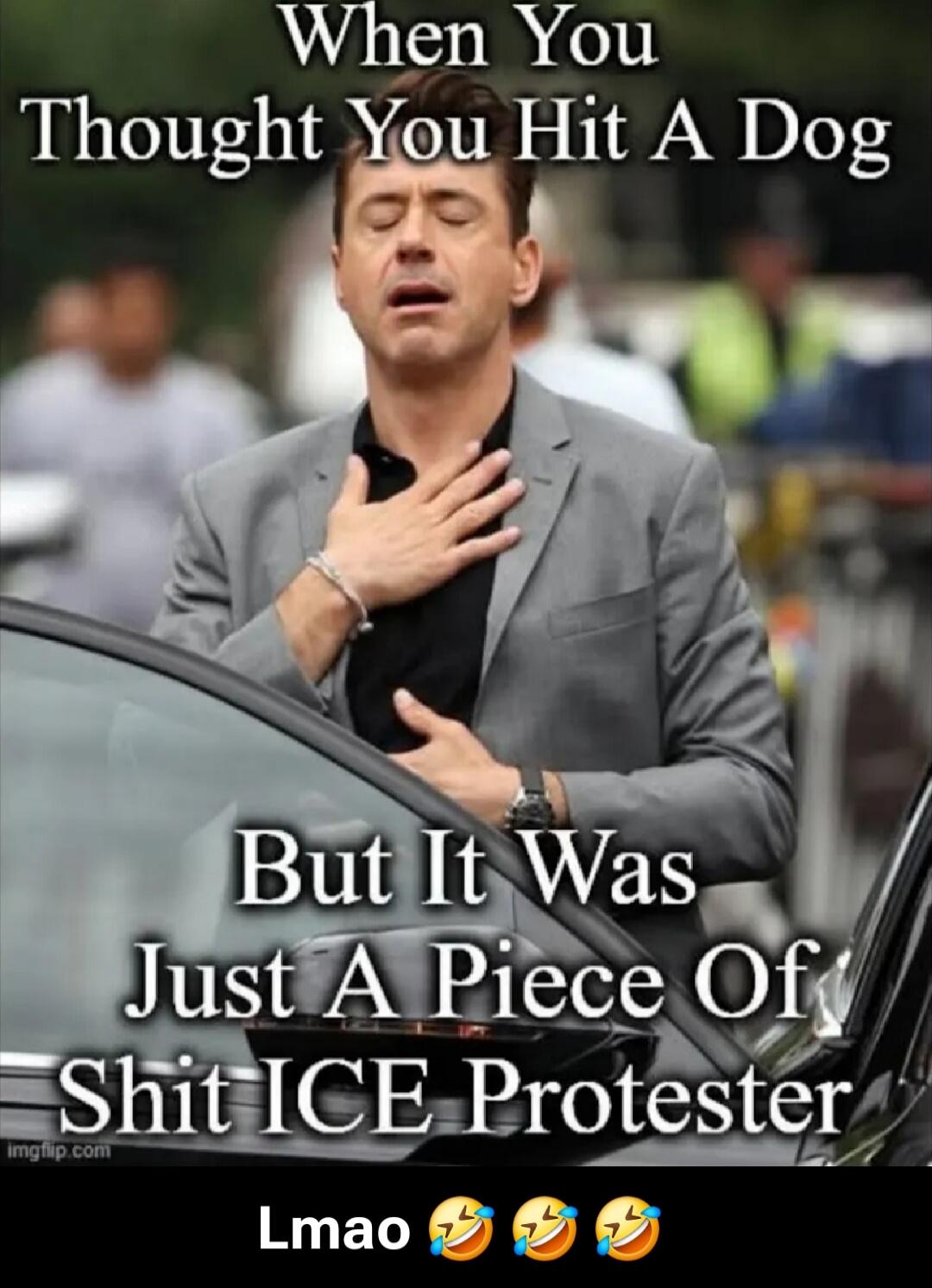 When You Thought You Hit A Dog But It Was Just A Piece Of Shit ICE Protester