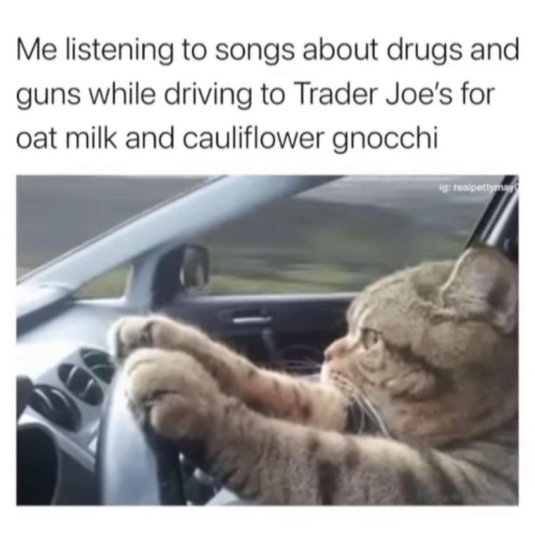 Me listening to songs about drugs and guns while driving to Trader Joes for oat milk and cauliflower gnocchi