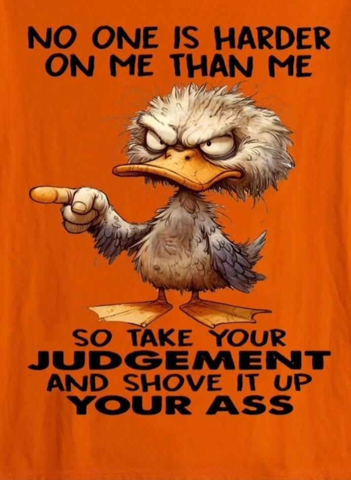 NO ONE IS HARDER ON ME THAN ME SO TAKE YOUR JUDGEMENT AND SHOVE IT UP YOUR ASS